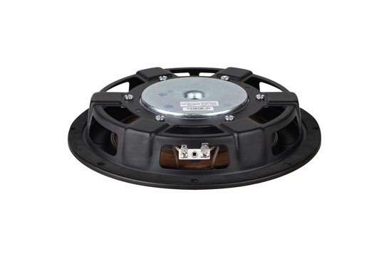 GBS-250F38CP01-04 Subwoofer