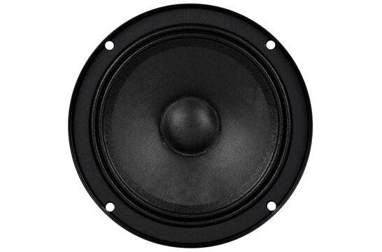 FSL-0512R01-08 Woofer a Gamma Media