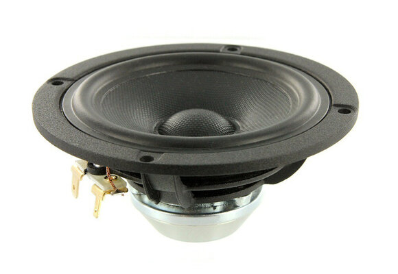Discovery 10F/8414G10 Full-range Woofer