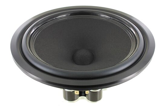 Ellipticor 21WE/4542T00 Mid-range Woofer