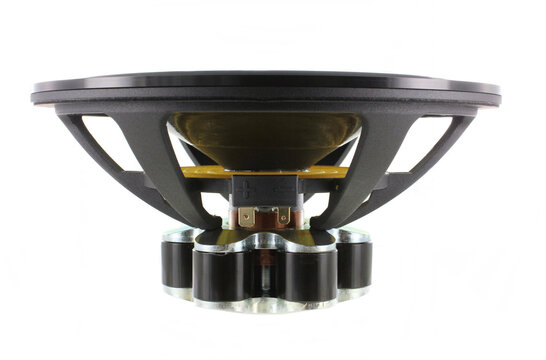 Ellipticor 21WE/4542T00 Woofer a Gamma Media