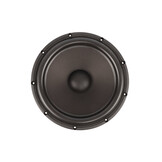 Revelator 32W/8878T11 Woofer