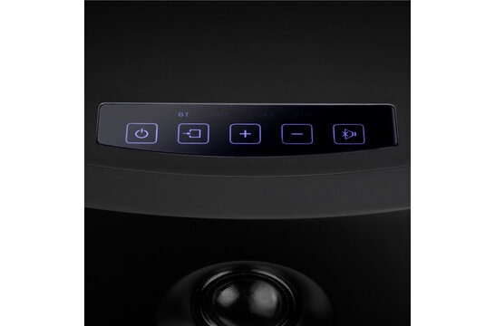 Swan OS-10 aktive Bluetooth Regallautsprecher