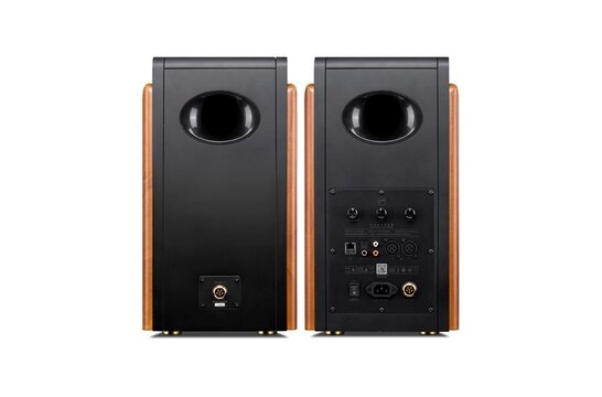 Swan M300MKII aktive Bluetooth Regallautsprecher