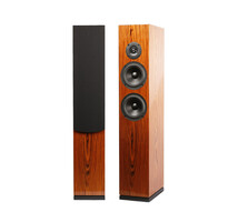 ARYA Rosewood High-Gloss Speaker Kit