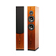ARYA Rosewood High-Gloss Complete Speaker Kit
