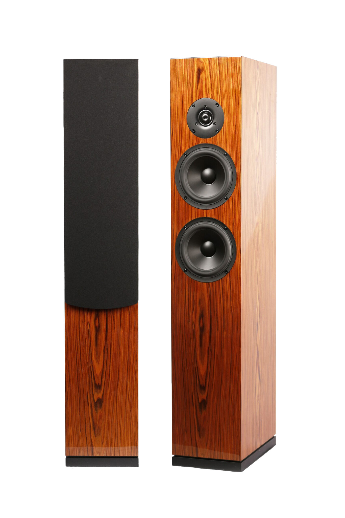 ARYA Rosewood High-Gloss Complete Kit Altoparlante