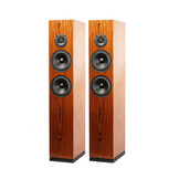 ARYA Rosewood High-Gloss Complete Speaker Kit