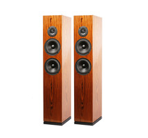ARYA Rosewood High-Gloss Speaker Kit