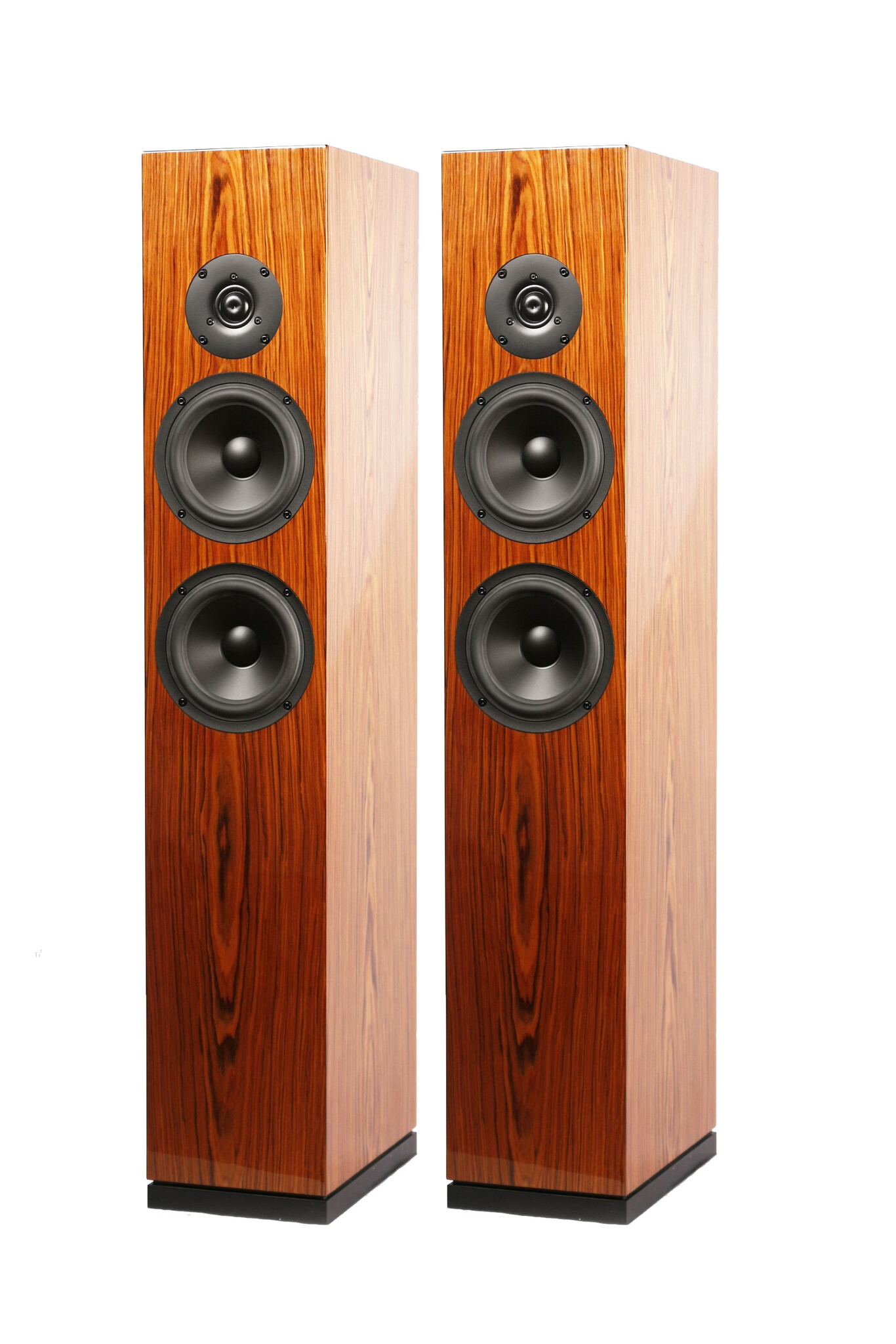 ARYA Rosewood High-Gloss Complete Speaker Kit