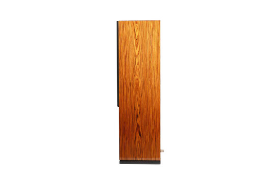 ARYA Rosewood High-Gloss Complete Speaker Kit