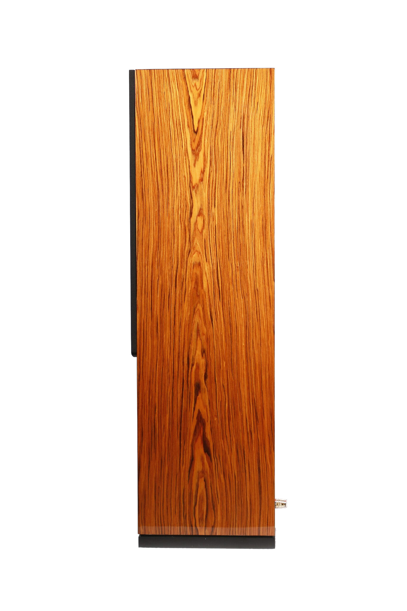 ARYA Rosewood High-Gloss Complete Kit Altoparlante