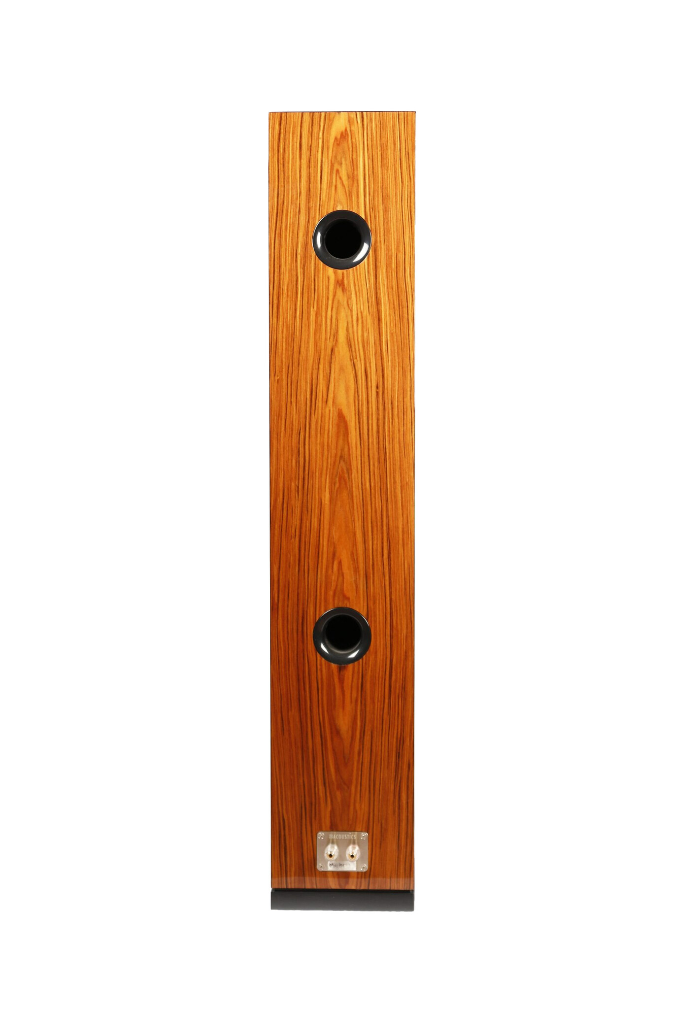 ARYA Rosewood High-Gloss Complete Speaker Kit