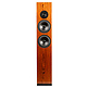 ARYA Rosewood High-Gloss Complete Speaker Kit