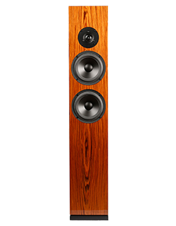 ARYA Rosewood High-Gloss Complete Speaker Kit