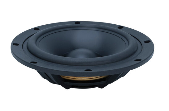 SB29NRX-00 10" Passive Radiator