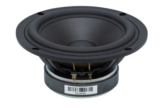 ARYA Rosewood High-Gloss Complete Speaker Kit