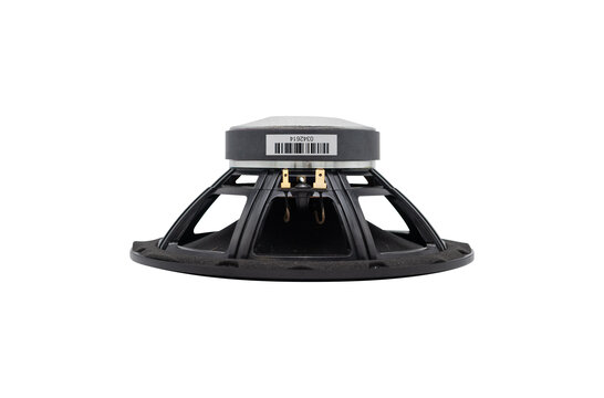 SB20PFCR30-4 8" Paper Cone Full-range Woofer