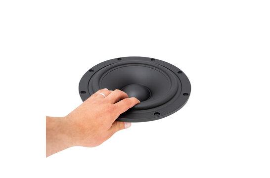 SB29NRX-00 10" Passive Radiator