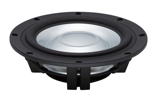 SW26DAC-00 10" Passive Radiator