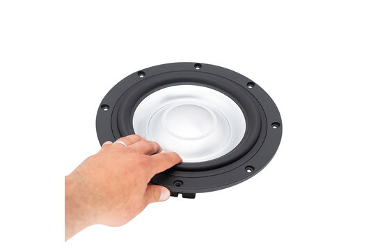 SW26DAC-00 10" Passive Radiator
