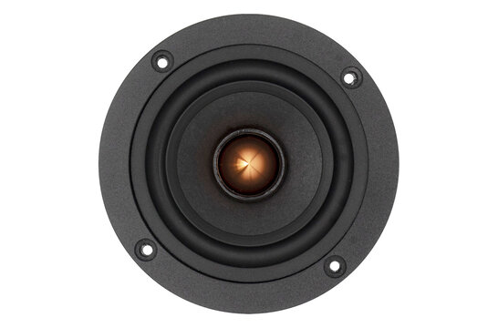 PS95-8 Woofer a Gamma Completa