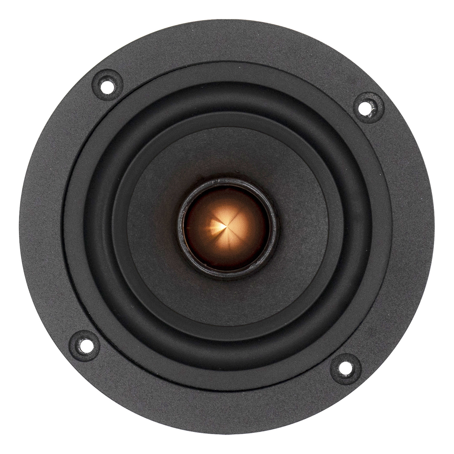 PS95-8 Full-range Woofer