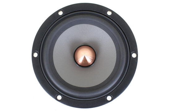W12CY004 - E0070-08 Woofer