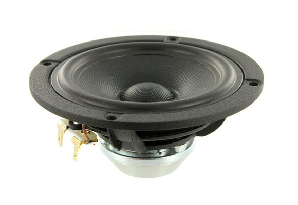 Discovery 10F/8424G00 Full-range woofer
