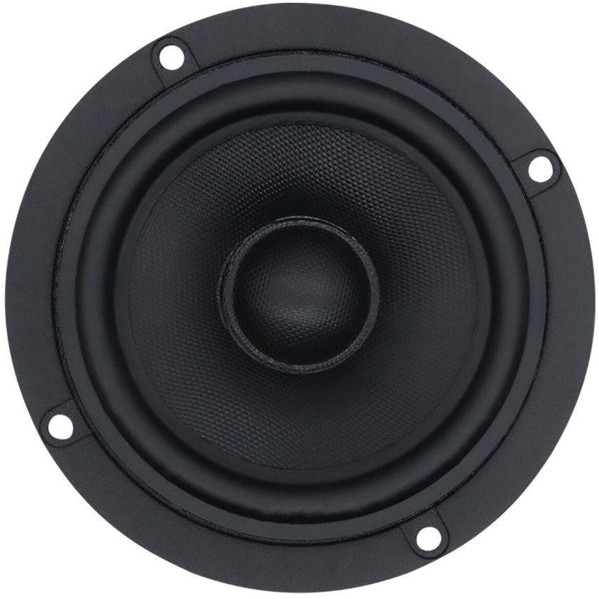 Discovery 10F/8424G00 Full-range woofer