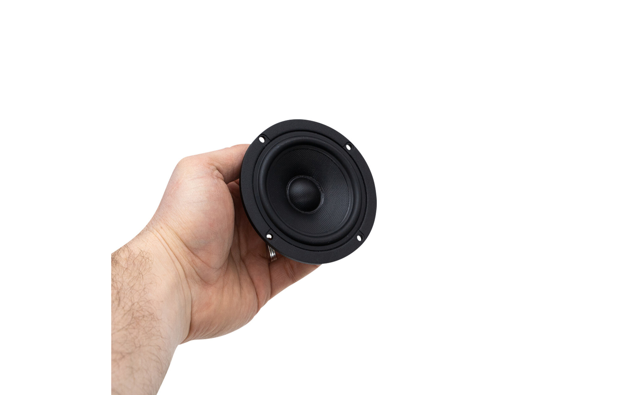 Discovery 10F/8424G00 Full-range woofer