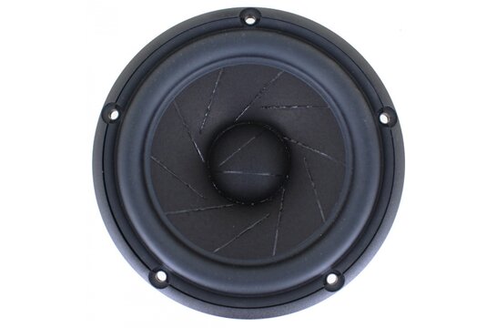 Revelator 15M/4531K00 Woofer a Gamma Media