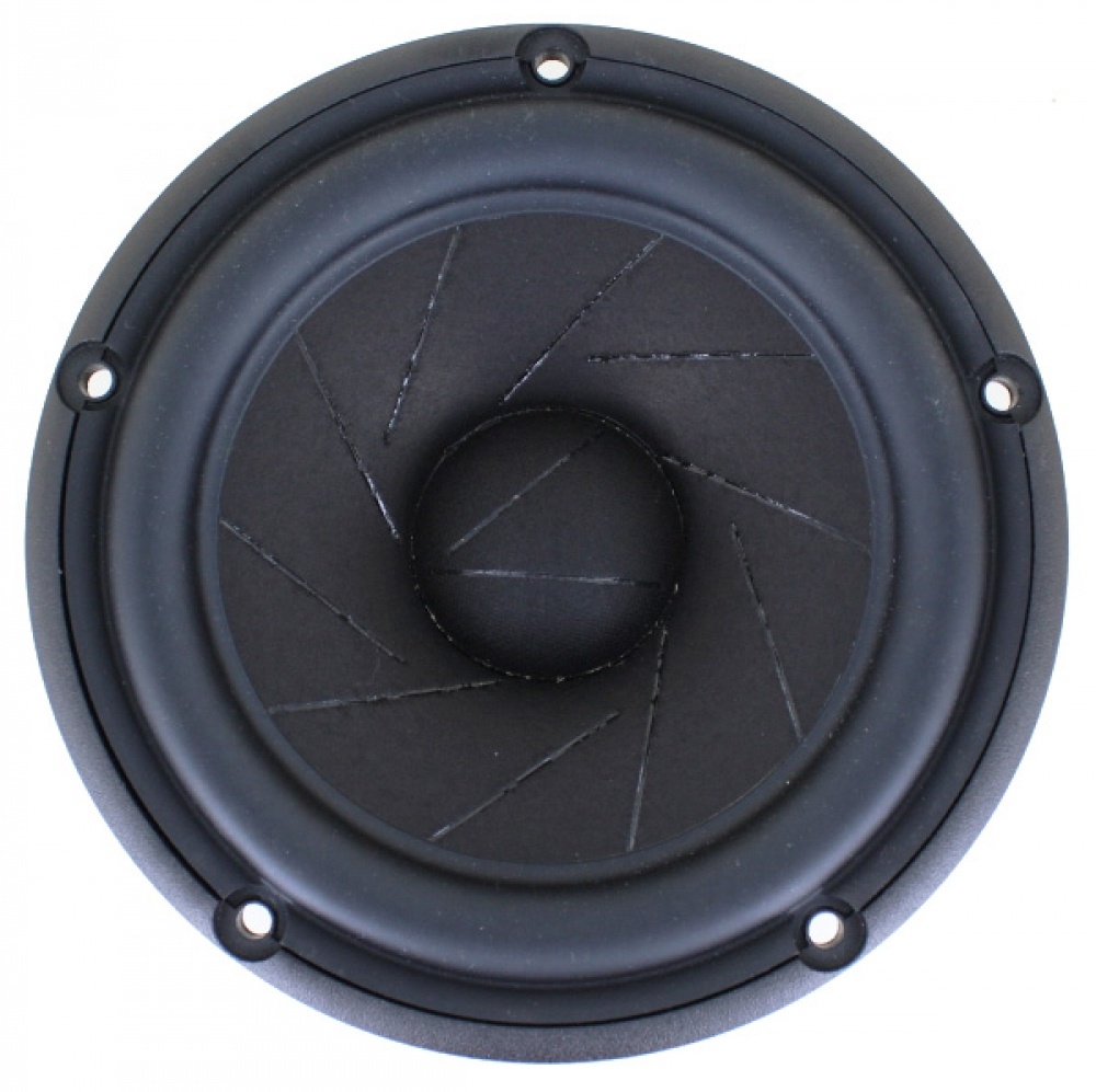 Revelator 15M/4531K00 Woofer a Gamma Media