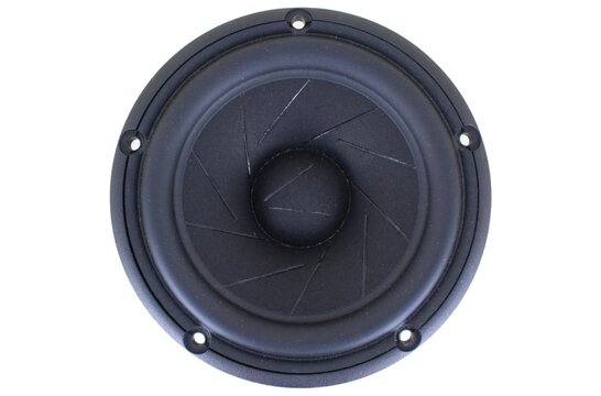 Revelator 15M/8631G00 Woofer a Gamma Media