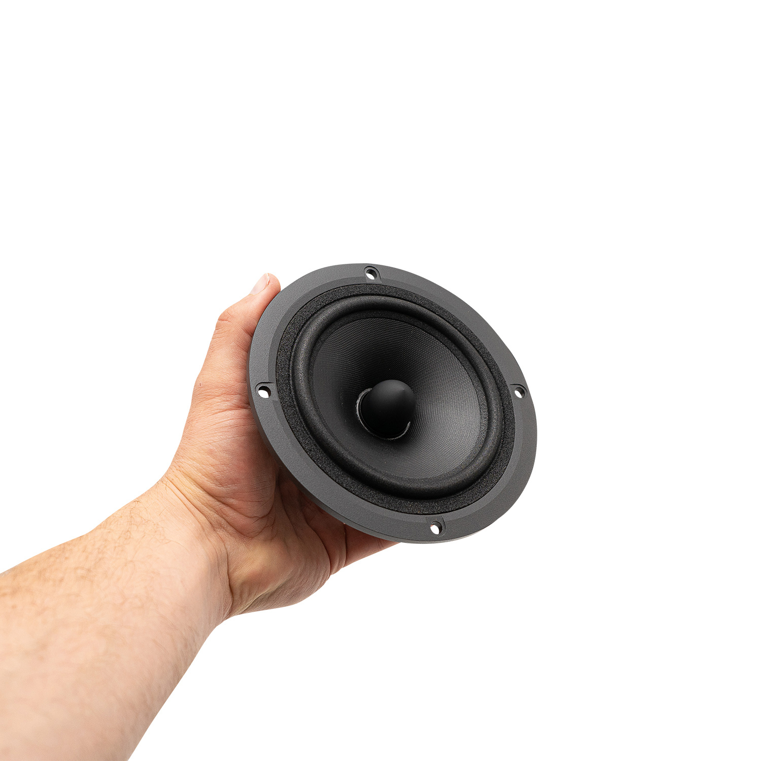 Discovery 15M/4624G00 Bass-midwoofer