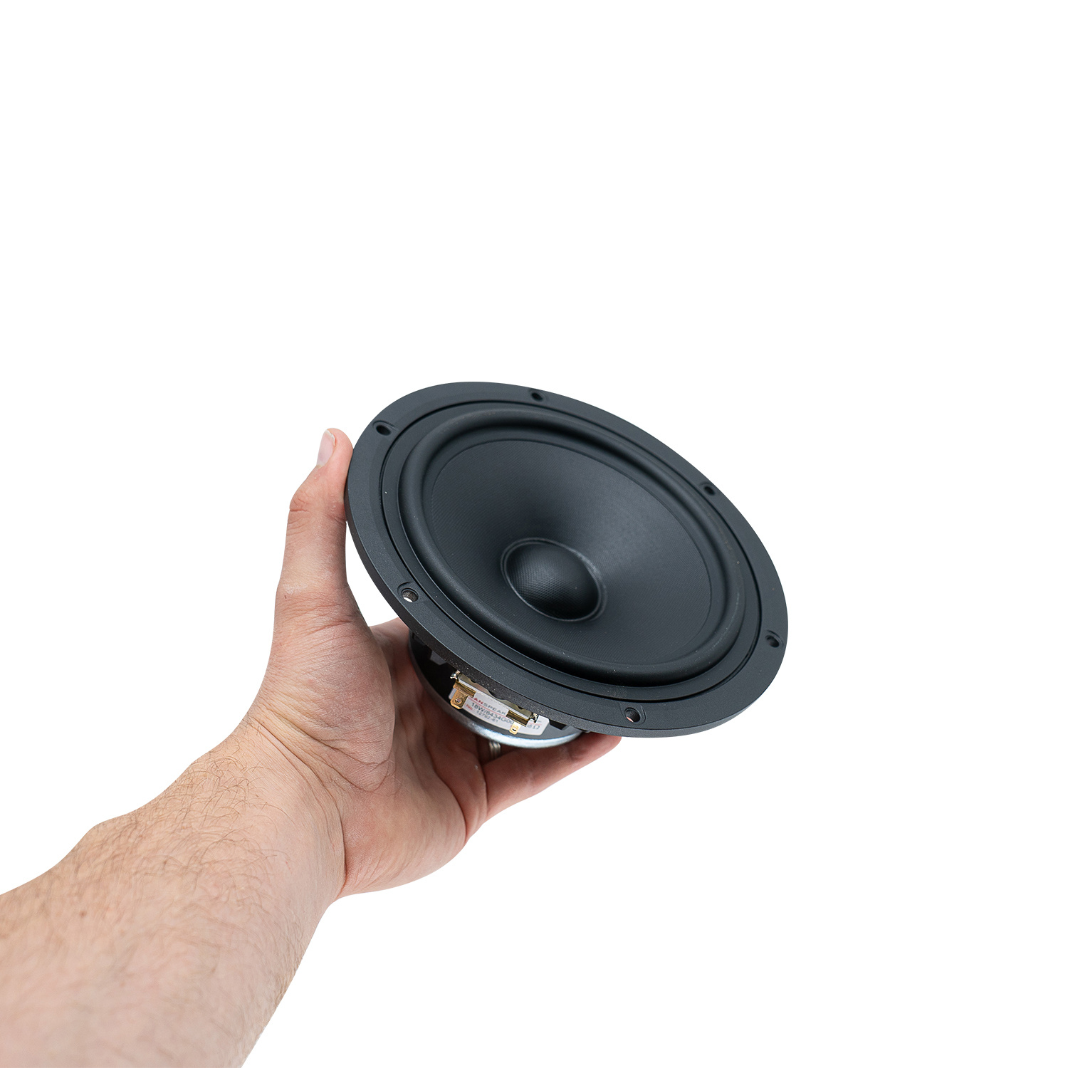 Discovery 18W/8434G00 Midwoofer