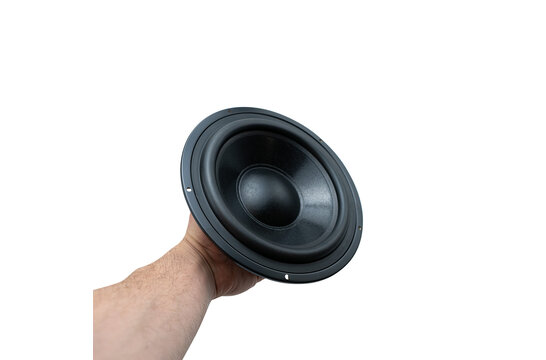DS215-PR 8" Passive Radiator