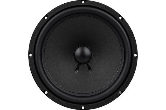 GRS A25-10 Replacement 10" Woofer for Dynaco A25 6 Ohm