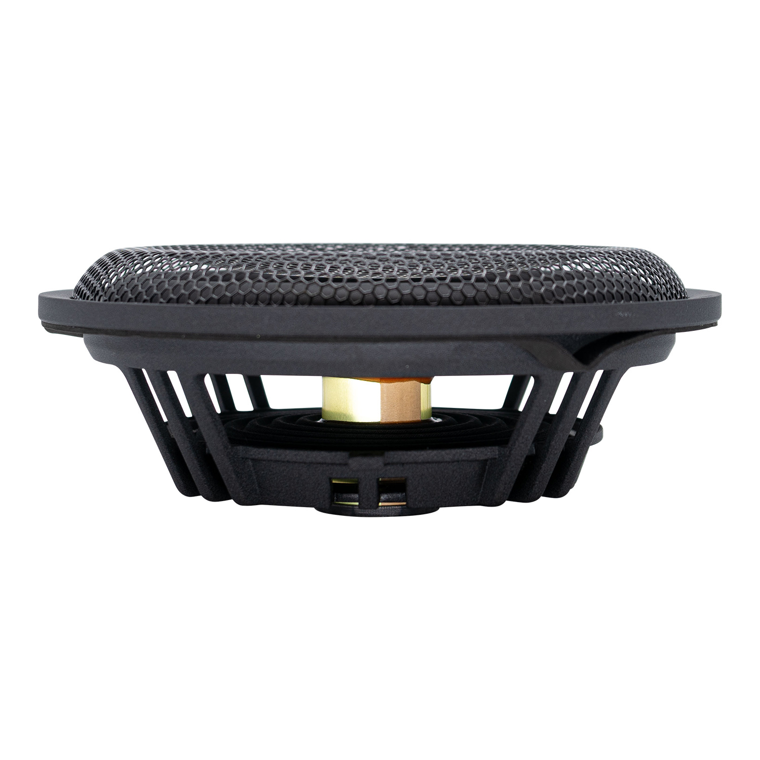 P220 8'' Passive Radiator with Dark Grey Cones