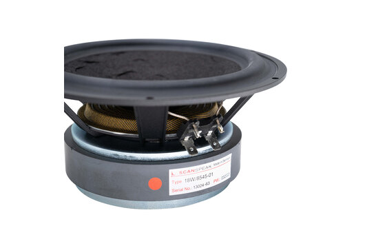 Classic 18W/8545-01 Woofer a Gamma Media