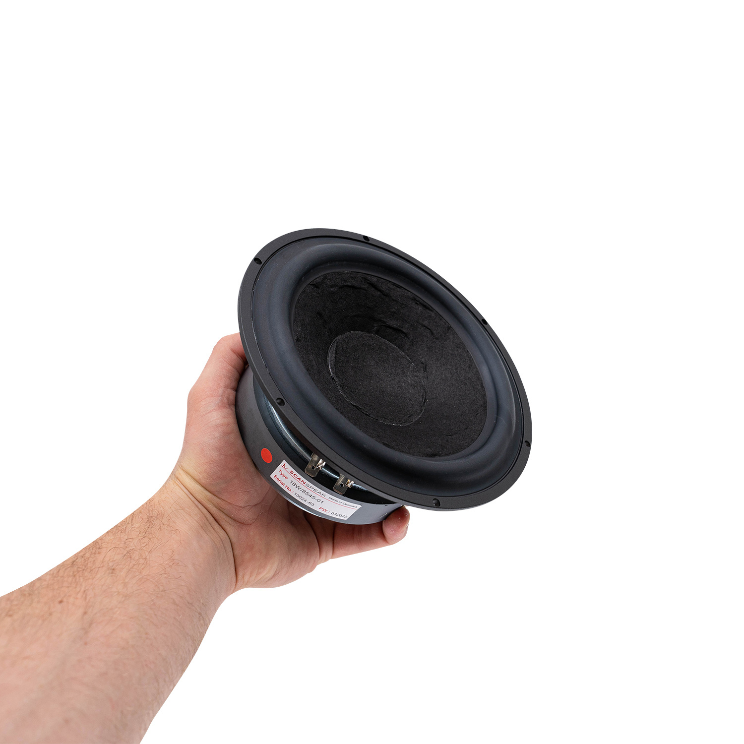 Classic 18W/8545-01 Woofer a Gamma Media