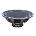 Ellipticor 38WE/8582T00 Woofer