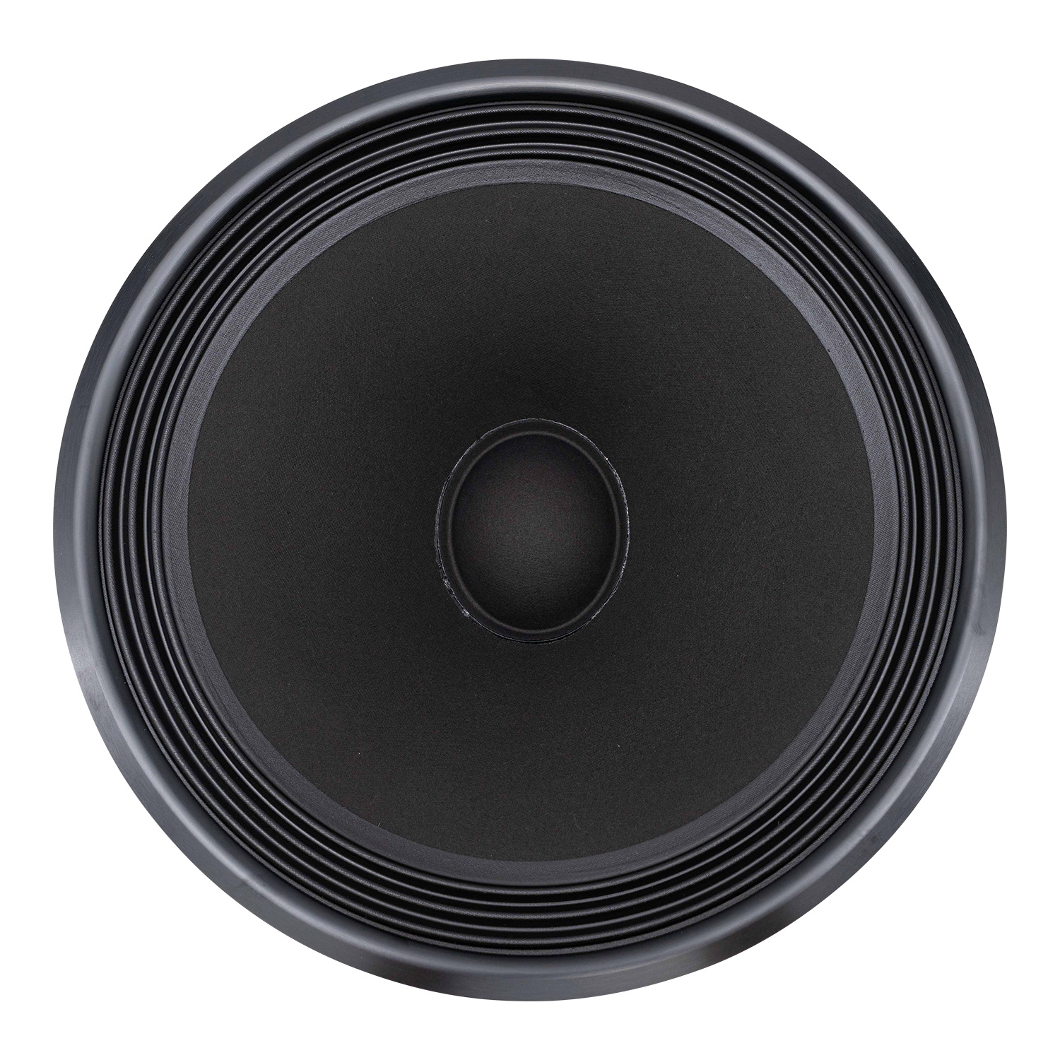 Ellipticor 38WE/8582T00 Woofer