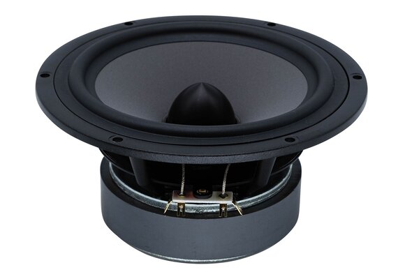 Excel W18NX003 - E0096-08 Woofer a Gamma Completa