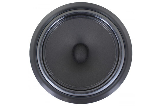 Ellipticor 21WE/4542T00 Woofer a Gamma Media