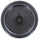 Ellipticor 21WE/4542T00 Mid-range Woofer
