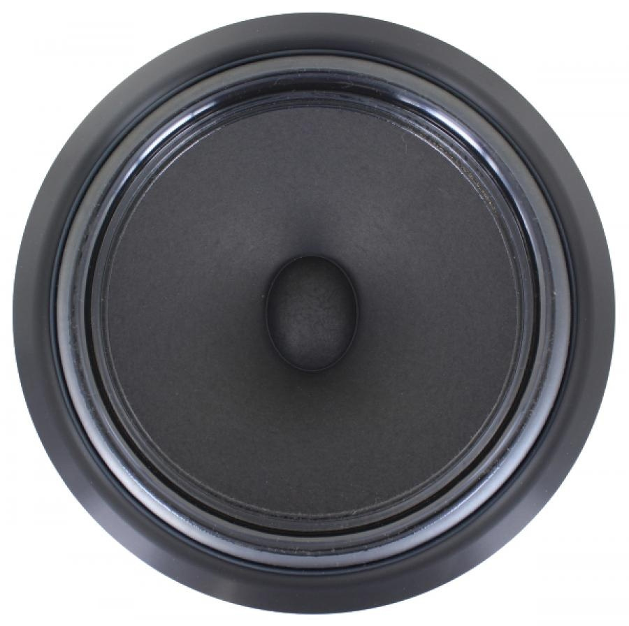 Ellipticor 21WE/4542T00 Woofer a Gamma Media
