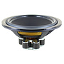 Ellipticor 21WE/4542T00 Mid-range Woofer