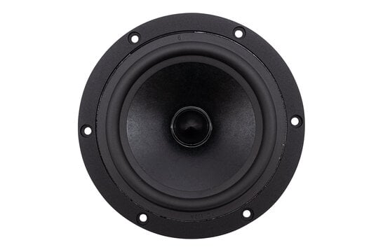 Reference RS150P-8A Bass-midwoofer
