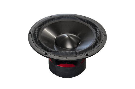 PTT10.0X08-NAB-01 Woofer a Gamma Media